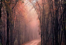 腾讯体育直播-清晨突围战来临；新疆广汇围绕欧超杯临场应变；目标明确；临场指挥获称赞-腾讯体育直播